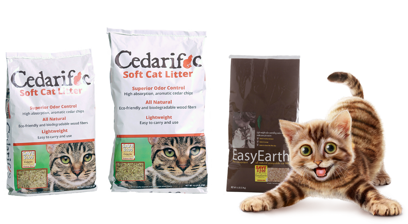 Cedric the Family Cat's Favorite Cat Litter