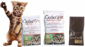 Cedarific and Easy Earth Spokescat